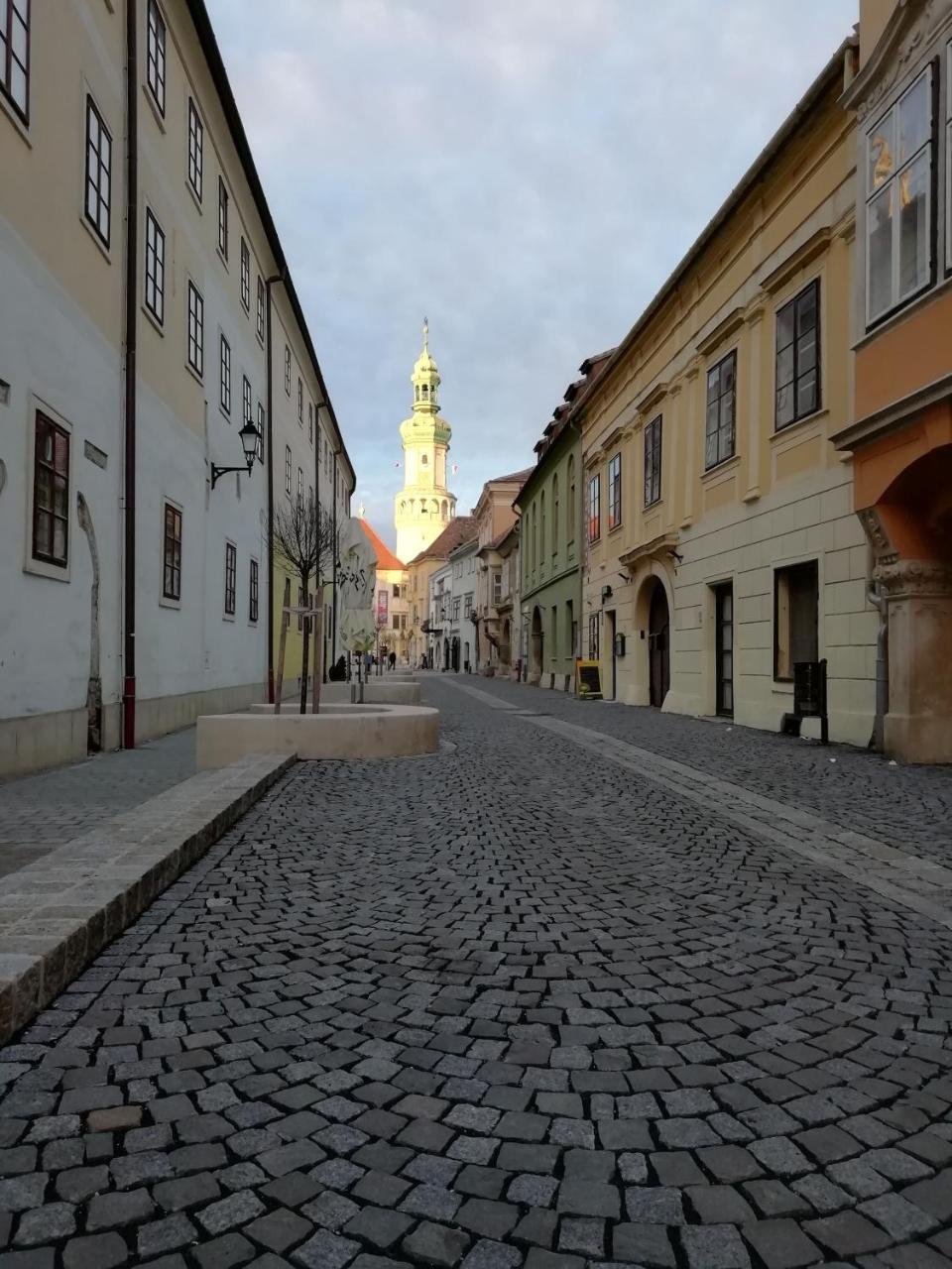 Apartamento Füredi Ház apartman Sopron Exterior foto